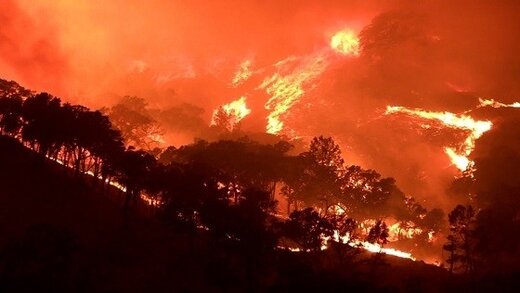 210715203435-fire_w520.jpg