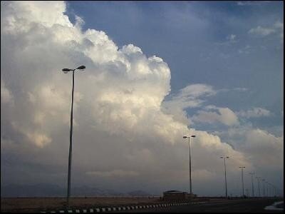 shab7_w520.jpg