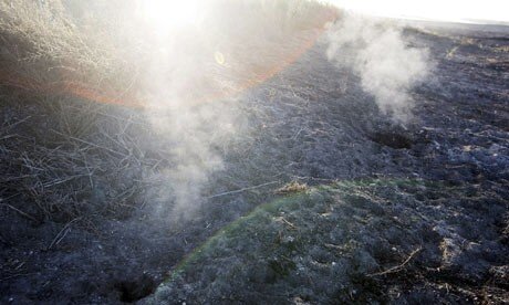 -fire-in-Las_w520.jpg