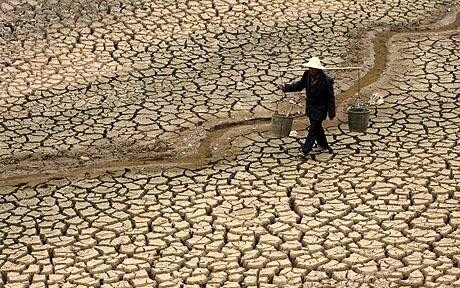 chinaDrought_w520.jpg