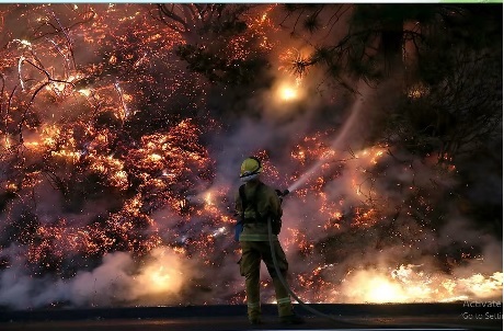 wildfire_2_w520.jpg