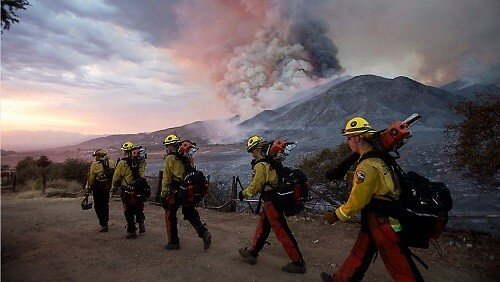 wildfire_ap_w520.jpg